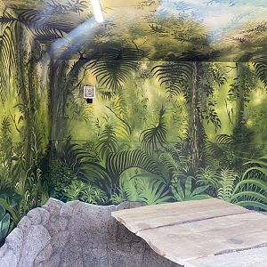 Jaguar enclosure inside platform viewing PWP