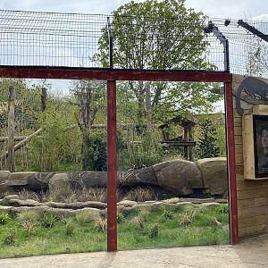 Sun bear enclosure with otter run PWP