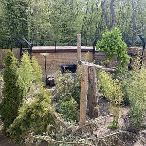 Sun bear rear enclosure with den PWP