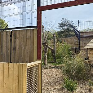 Binturong enclosure PWP