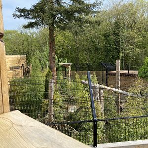 Sun bear rear enclosure from walkway PWP