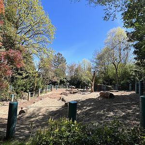 Indian Rhino Exhibit (small portion)