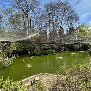 Walk-Through Wetlands Aviary