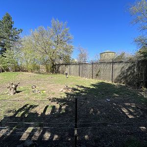 Demoiselle Crane Exhibit