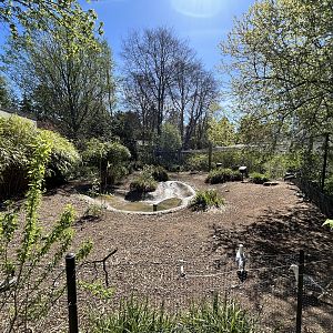 Hooded Crane Exhibit