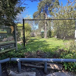 Southern Pudu Exhibit