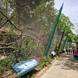 Row of Bird Aviaries