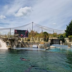 Sea Lion exhibit