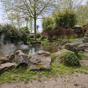 Giant Panda 2nd exhibit