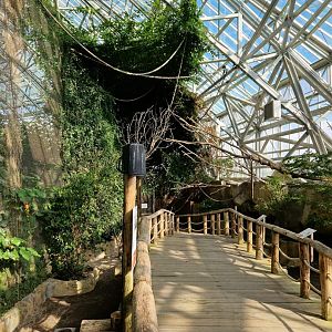 Flying fox Walktrough Aviary