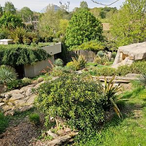 Tasmanian Devil exhibit