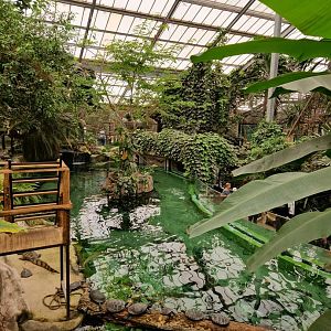 Gorilla House aquarium