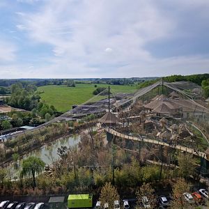 New South American Aviary