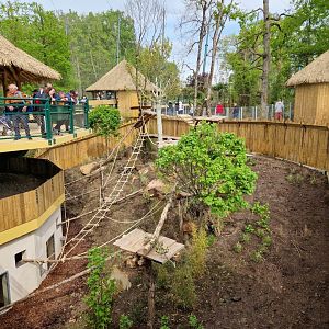 New South American Aviary