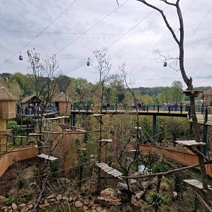 New South American Aviary