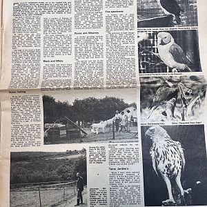 1971 Cage & Aviary Birds article regarding Pinevalley Wildlife Park (now-closed UK collection)