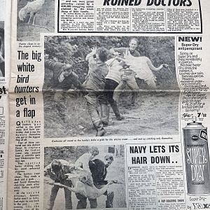 1970 newspaper article regarding Pinevalley Wildlife Park (now-closed UK collection)