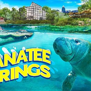 Manatee Springs | Zoo Tours