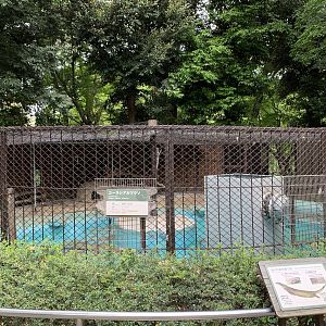 Eurasian Otter Exhibit