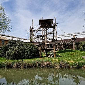 Gorilla House with 1st outdoor exhibit