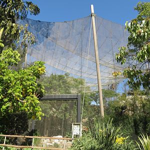 Wings of the World Aviary