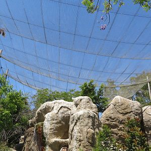 Wings of the World Aviary