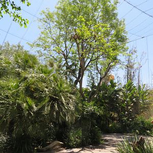Wings of the World Aviary
