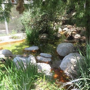 Wings of the World Aviary