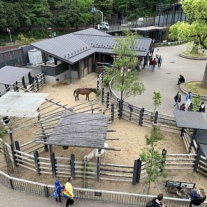 Children’s Zoo