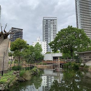 Ring-tailed Lemur Exhibit