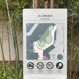 Panda Forest Map Sign
