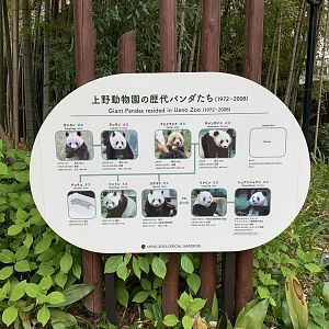 Panda Sign