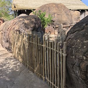 New Pedestrian Barrier