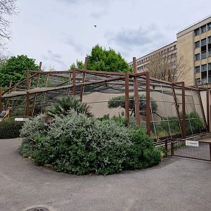 Houbara Bustard exhibit