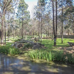 Tasmanian Devil enclosure