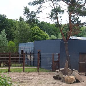 African bush elephant bull barn and separation paddock, 2022-06-12