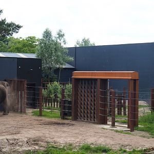 African bush elephant gate and separation paddock, 2022-06-12
