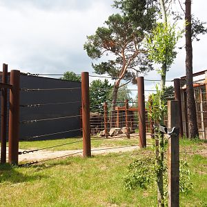 African bush elephant separation paddock, 2022-06-12