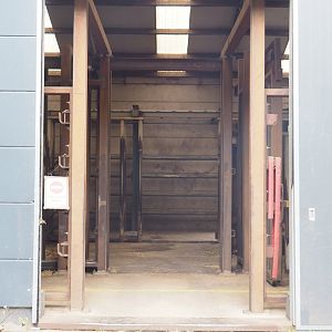 View into African bush elephant bull barn, 2022-06-12