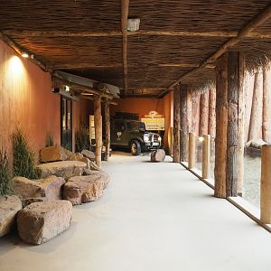 African elephant house visitor area, 2022-06-12