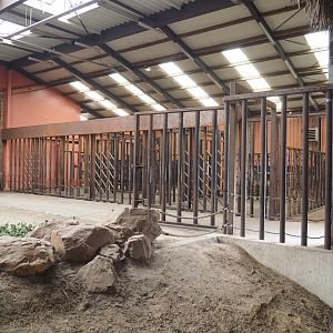 African elephant indoor boxes, 2022-06-12