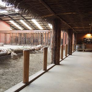 African elephant house visitor area, 2022-06-12