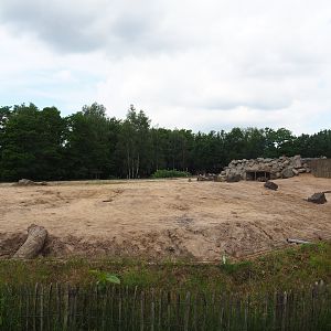 African bush elephant paddock and Hamadryas baboon rock, 2022-06-12