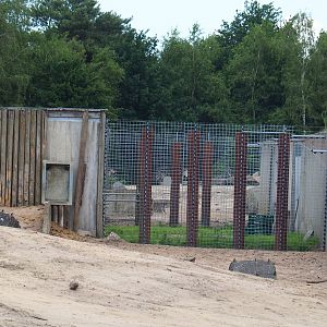 Hamadryas baboon keeper area, 2022-06-12