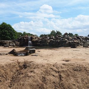 African bush elephant paddock and Hamadryas baboon rock, 2022-06-12