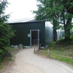 Rothschild's giraffe barn, 2022-06-12