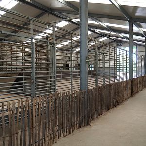 Rothschild's giraffe indoor paddocks, 2022-06-12