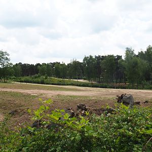 Part of Rothschild's giraffe, Grévy's zebra and Black sable antelope plains, 2022-06-12