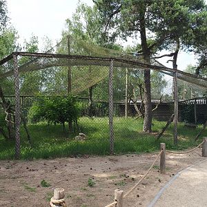 Secretary bird aviary, 2022-06-12