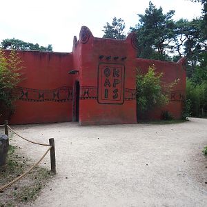 Okapi house, 2022-06-12